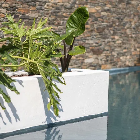 Boutique Hotel Villa Gala By Fimedhotels-3